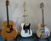 Taylor 615, Telecaster, Rickenbacker 370-12RM